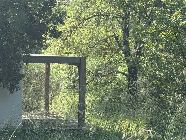 Cosy home en pleine forêt autonome