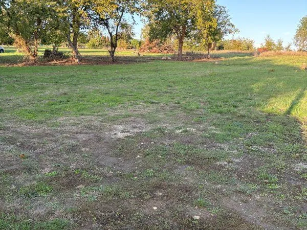 Terrain constructible