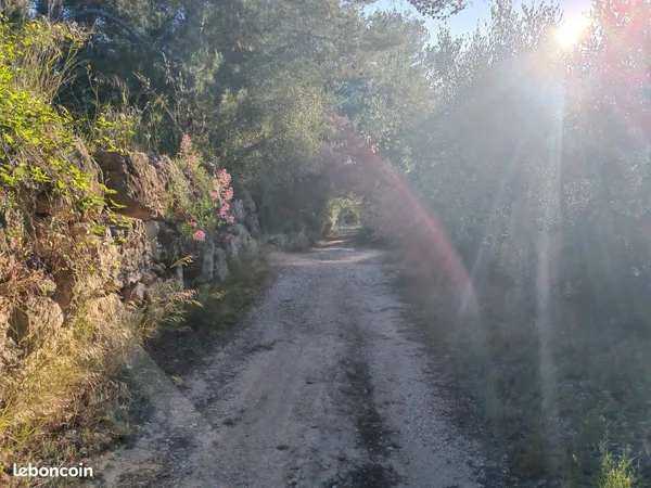 Stationnement Location La Cadière-d'Azur   80€
