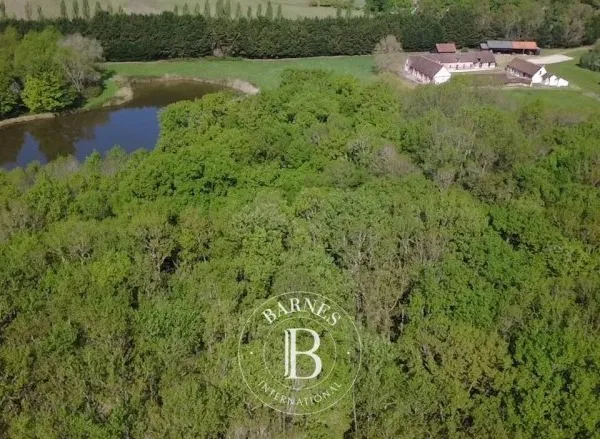 SOLOGNE - Propriété sur 80 hectares avec 4 étangs