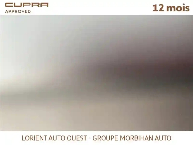 Cupra Formentor 1.4 e-hybrid 245 ch dsg6 — photo 5