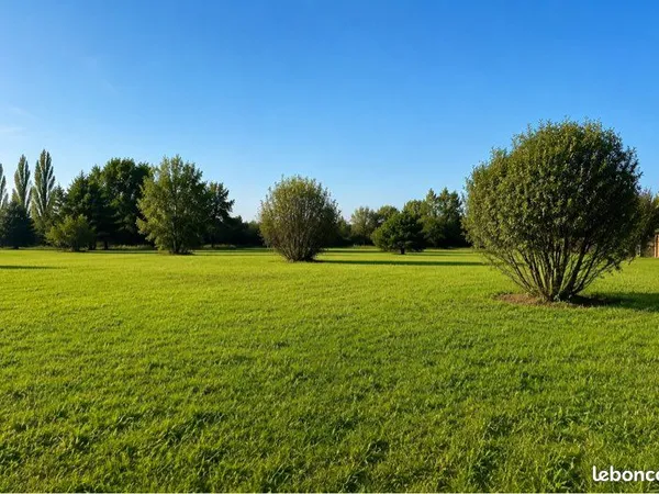 Terrain constructible