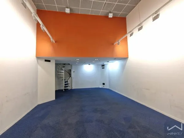 Local 1 pièce 55 m²