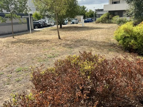 Appartement à vendre avec terrasse à Villenave-D'Ornon