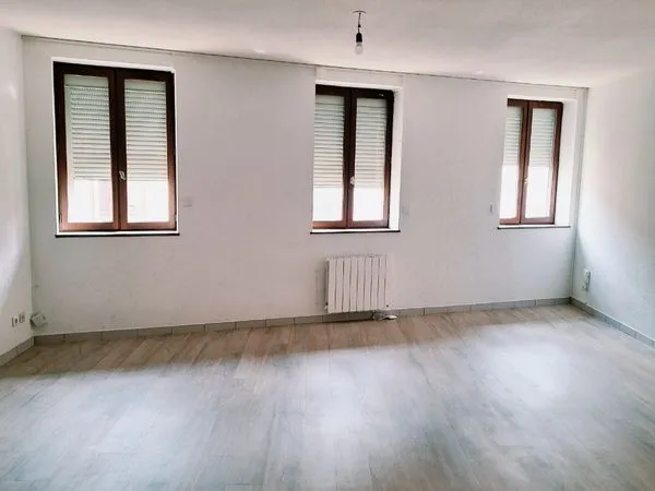 Location t3 en zone piétonne à Roanne