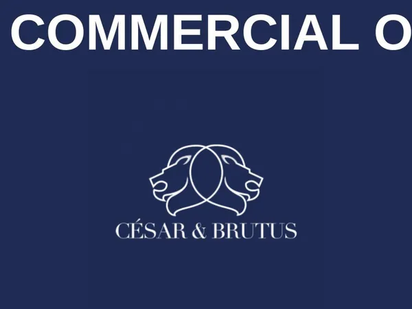 Idéal investisseur - Murs commerciaux loués - renta 8.12%