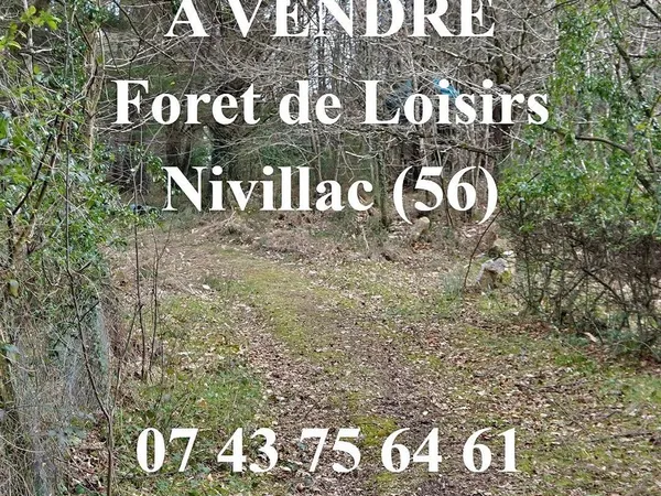 foret de loisirs avec maisonnette et petit etang