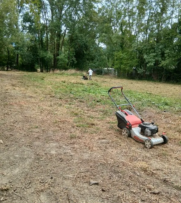 Photo 2