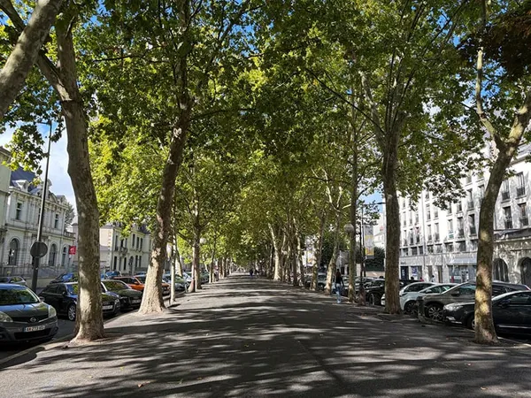 Hyper centre Tours entre les halles et la gare, appartement de 180 m2 avec ascenceur