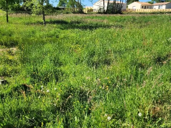 Terrain 985 m²