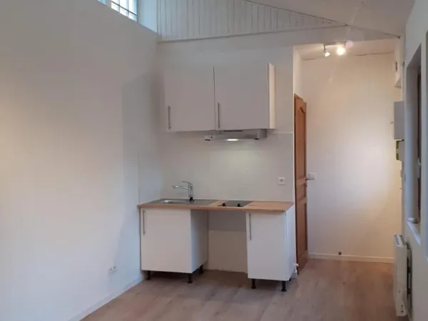 Appartement 1 pièce 20 m²