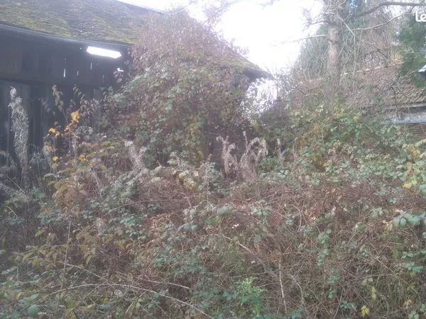 Terrain et maison en ruine