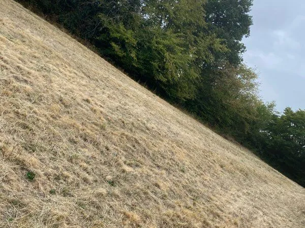 Terrain Vente Saint-Romain-sous-Gourdon  9000m² 100€