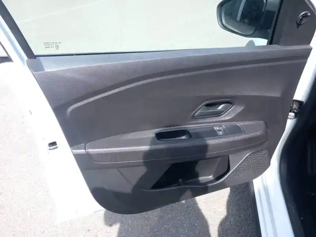 Dacia Sandero eco-g 100 - 22 — photo 11