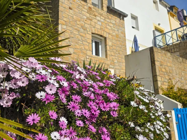 Appartement à vendre Sauzon