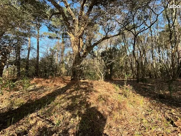 Terrain 1 704 m² Vielle Saint Girons