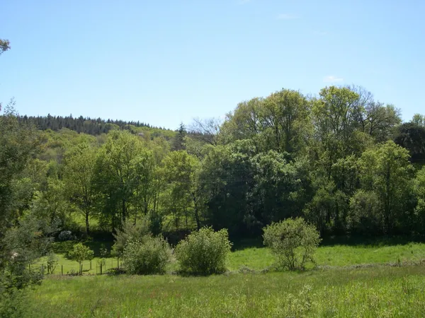 Terrain à batir de 7 503 m² au calme avec 2 parcelles