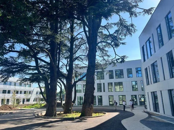 Bureaux 195 m²