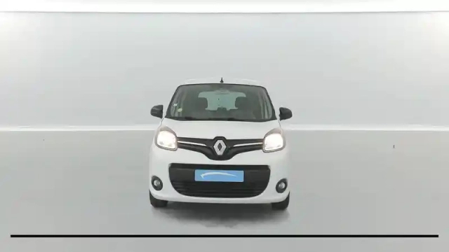 Renault Kangoo blue dci 95 — photo 16