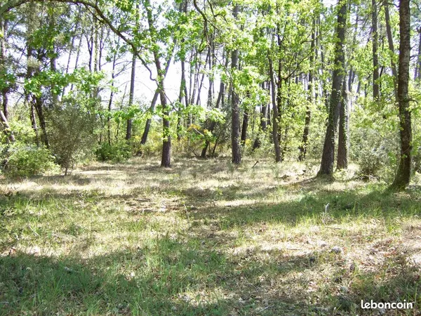 Vends terrain de loisirs