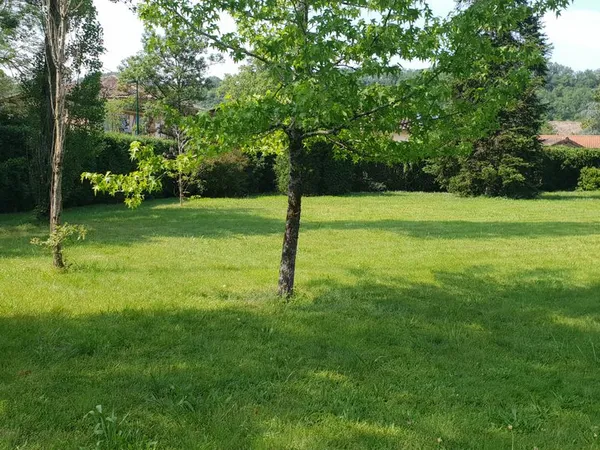 Terrain constructible plat et arboré - 918 m2 - St-Lieux-Lès-Lavaur (Particulier)