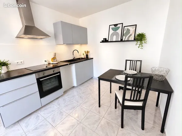 Très grand T2 60 m2 meublé