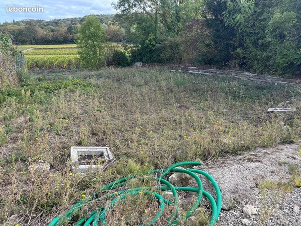 Vends terrain villers allerand 51500
