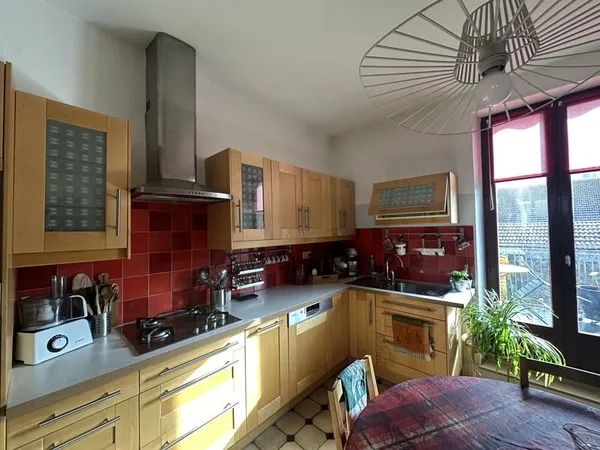 Saint-Dié-des-Vosges - Appartement avec jardin - 2 apparteme