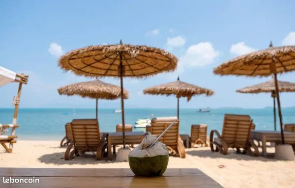 Bar, restaurant 1500 m² Leucate