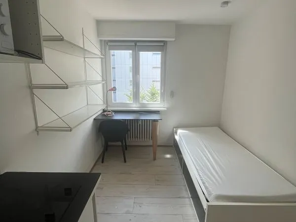 Idéal investisseur - Chambre étudiante meublée - Neustadt hyper-centre