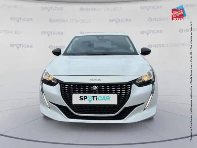 Peugeot 208 affaire 1.2 puretech 75ch s&amp;s premium — photo 17