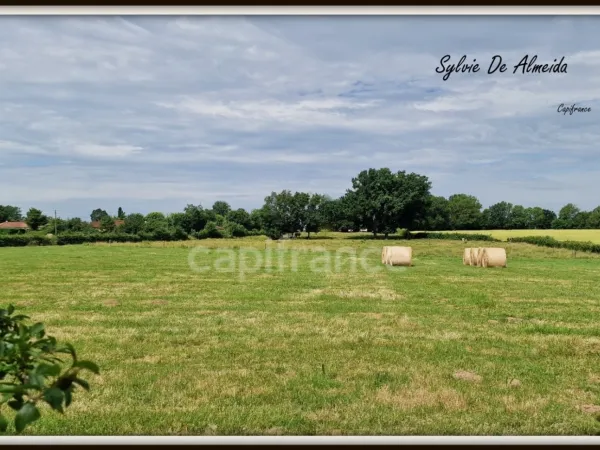 Terrain 2493 m²