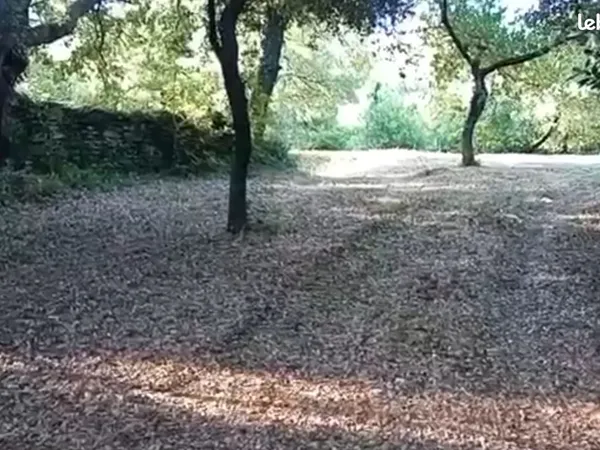 Beau terrain arboré 3 487 m² - Le Bousquillon, Rochegude (26790) - 18 000