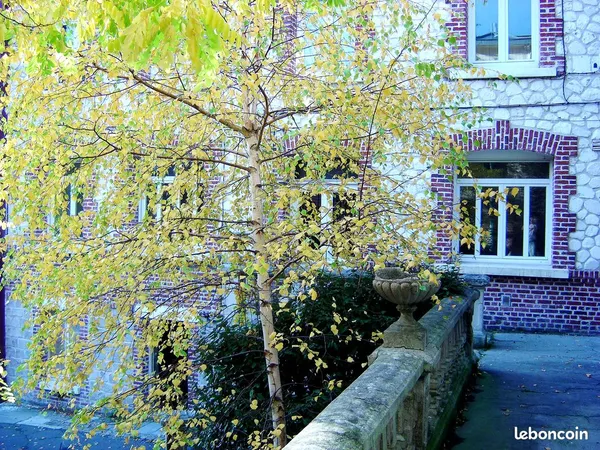 Appartement 46m² centre ville ARRAS