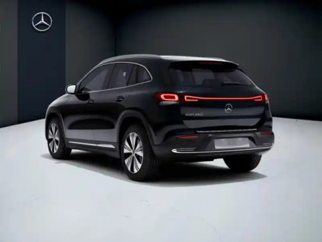 Mercedes Eqa 250 business line — photo 11