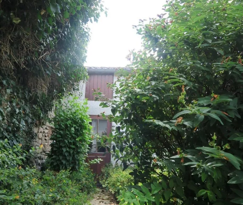Photo 14