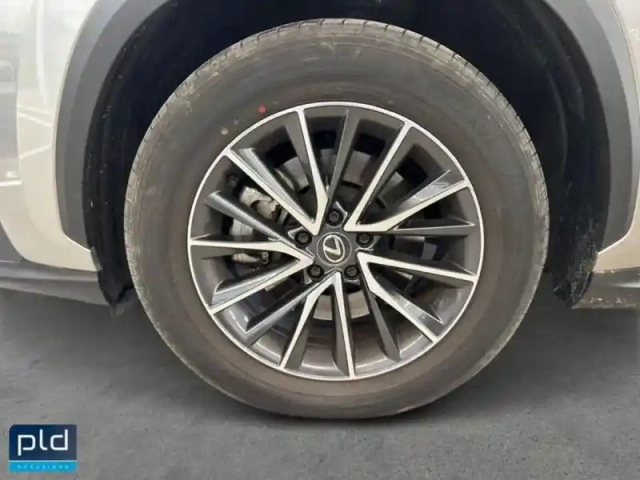 Lexus Nx 450h+ luxe 4wd my24 — photo 15