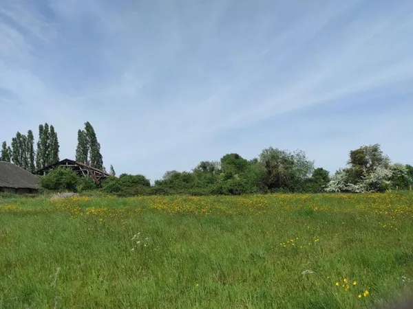Terrain 1334 m²