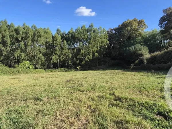 Terrain 2062 m²