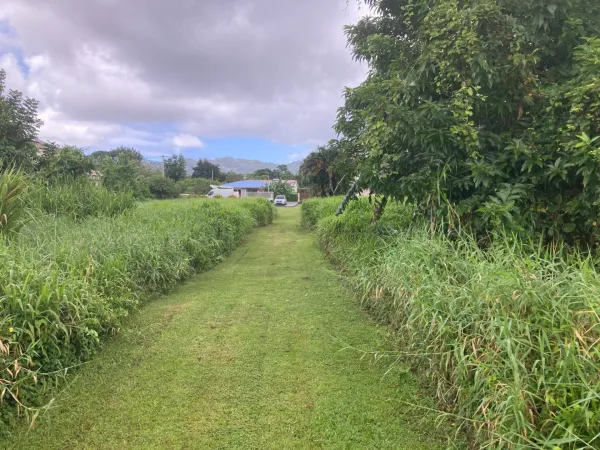 Terrain 4777 m²