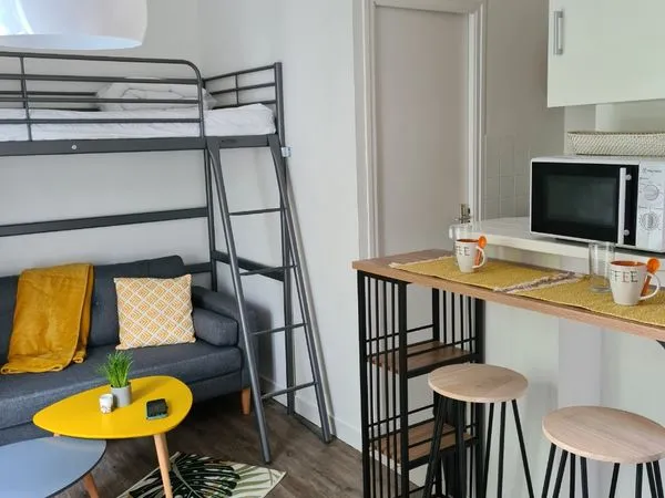 Studio MEUBLÉ quartier St Michel