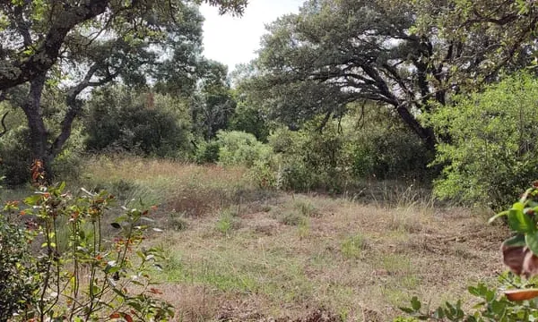 Terrain à bâtir de 1200 m2 au calme absolu