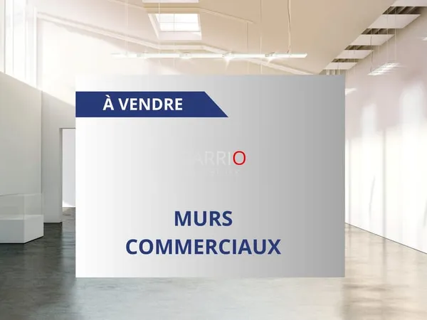 ARGELÈS-SUR-MER - ENSEMBLE IMMOBILIER À USAGE PROFESSIONNEL