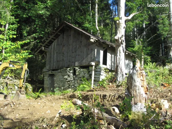 Terrain boisé
