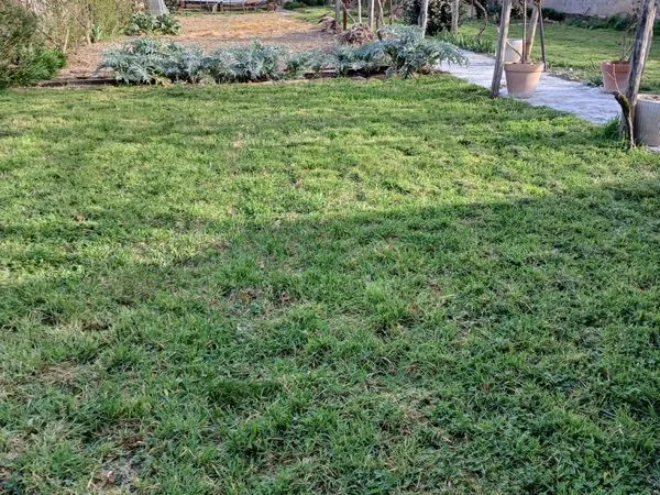 Terrain 706m2 constructible Vielmur Sur Agoût