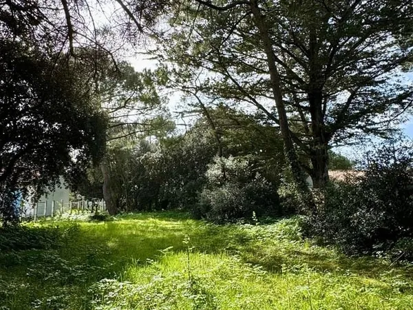 Terrain 990 m²