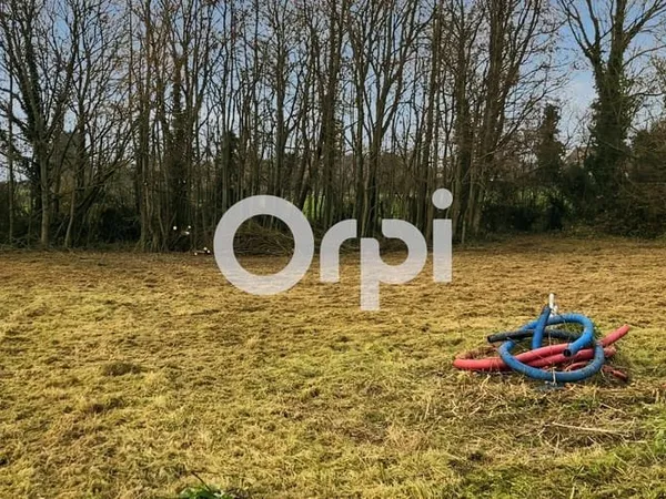 Terrain 1004 m²