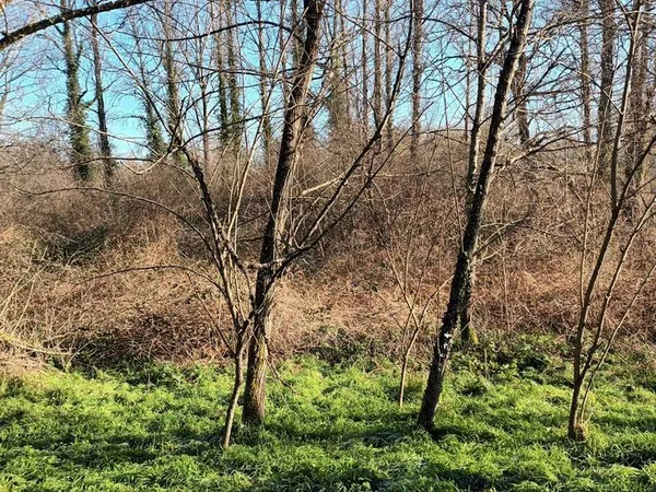 Terrain non constructible