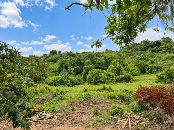 Terrain constructible 8264 m²