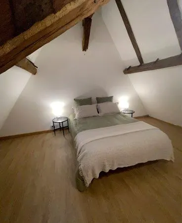 Appartement T3 - 2 chambres - Hyper centre Bourges - Terrasse & Clim